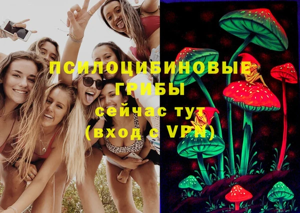 хмурый Алексин