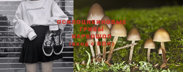МДПВ Абаза