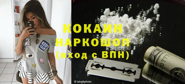 хмурый Алексин